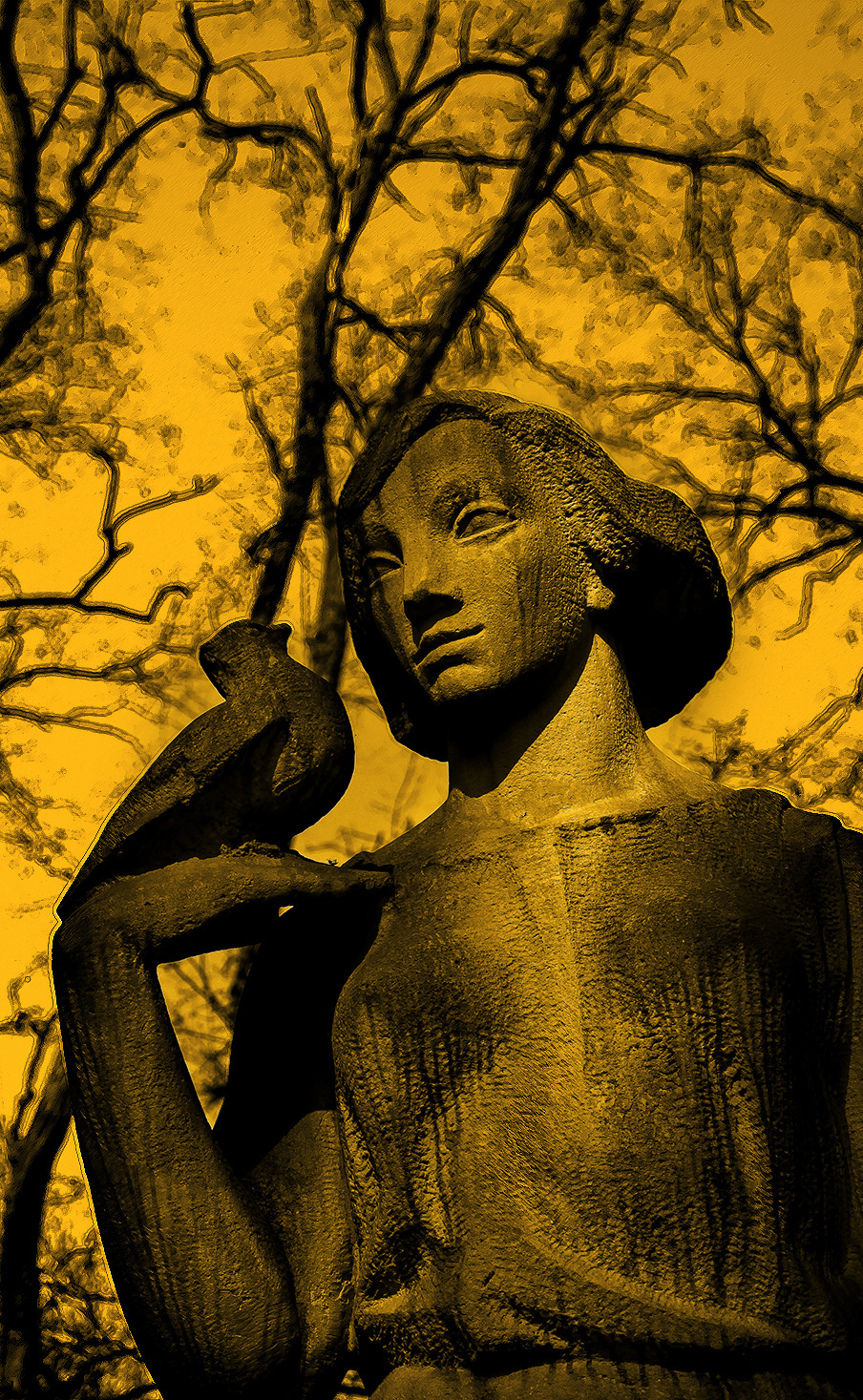 fotografie.warszawa.pl